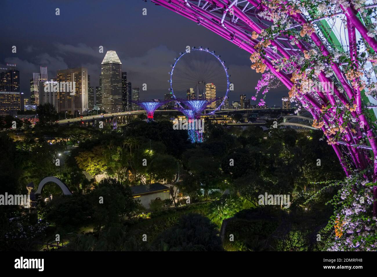 Singapur: Nachtansicht der supertrees in the Gardens by the Bay (Park) in der Mitte das Riesenrad des Singapore Flyer Stockfoto