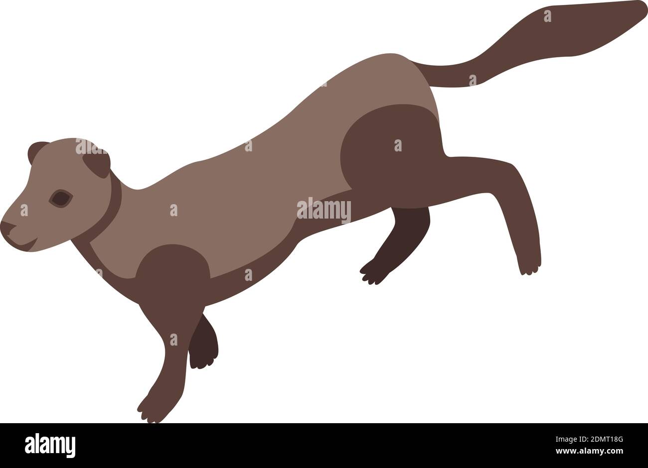 Symbol für den Nerz. Isometrisches Vektor-Symbol für PET Nerz für Web-Design auf weißem Hintergrund isoliert Stock Vektor