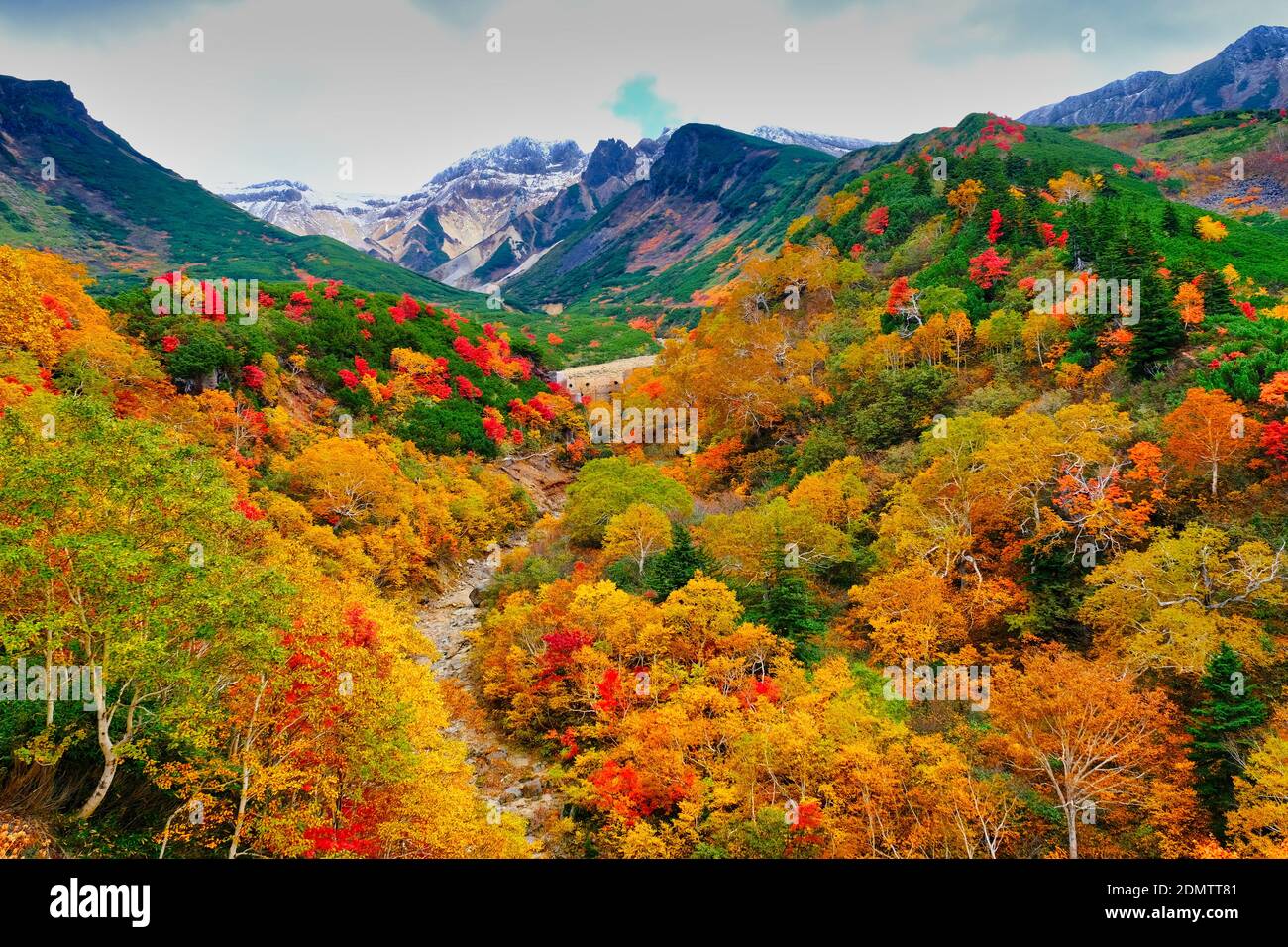 Herbstlaub, Tokachidake Onsen, Hokkaido, Japan Stockfoto
