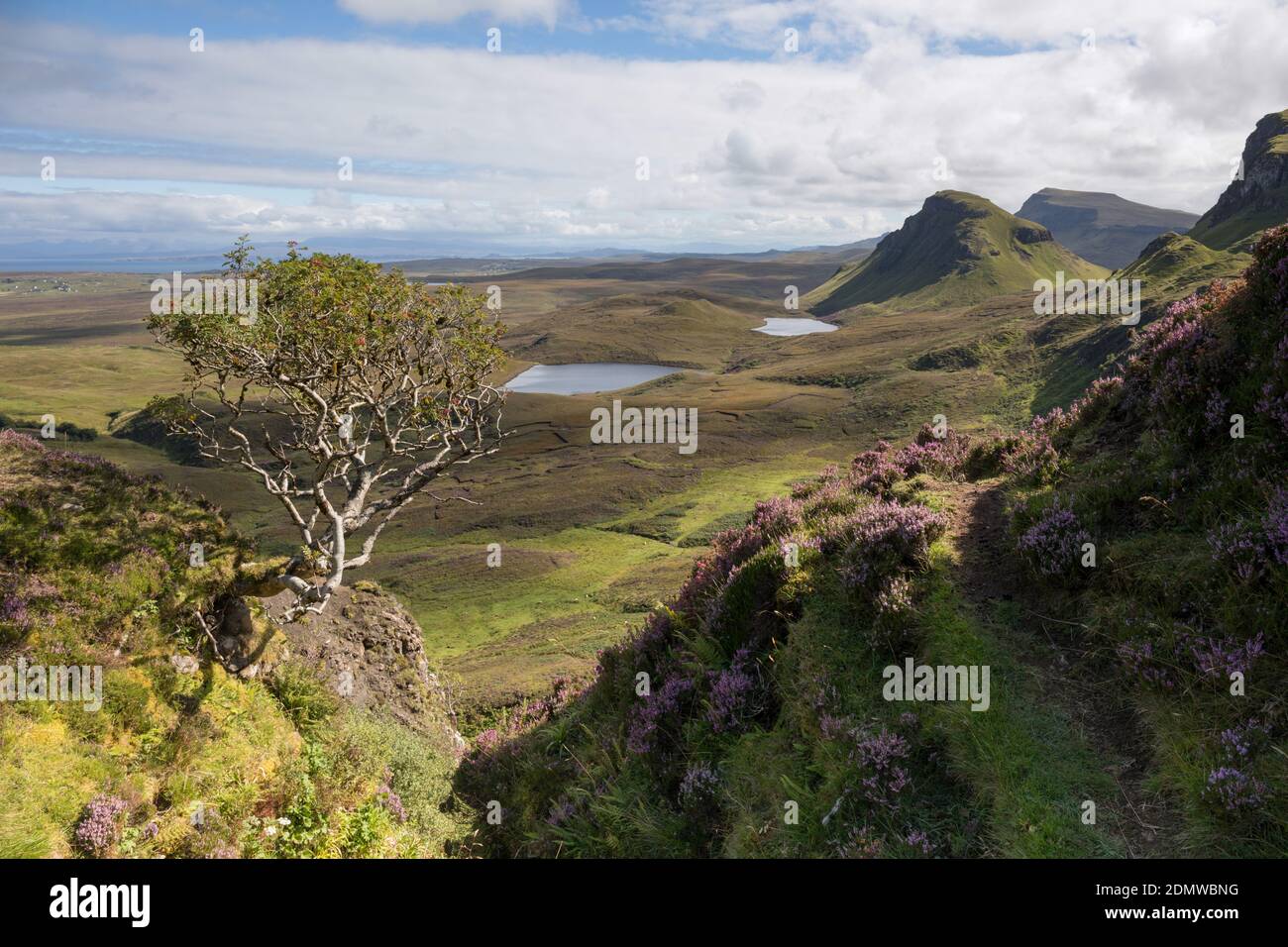 Quiraing Ridge, Trotternish, Skye, Schottland Stockfoto