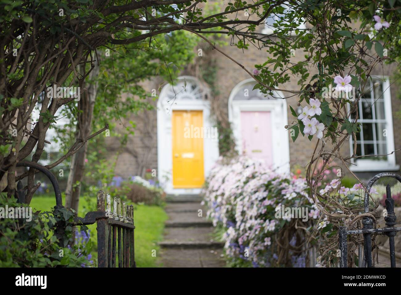 Bunte Türen von dublin im Frühling, gelbe und rosa Türen mit Garten Eingang Stockfoto