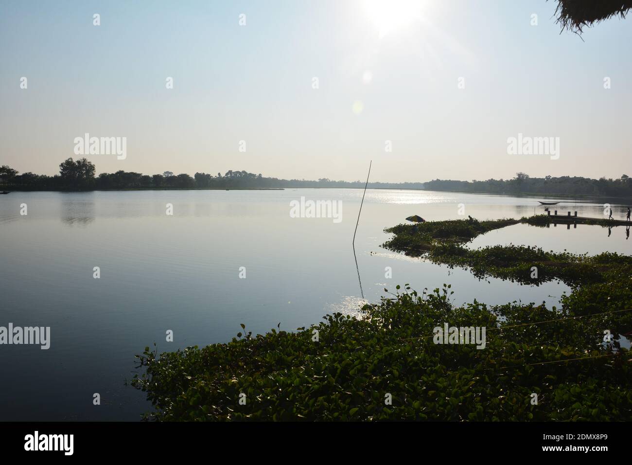 Sonnenuntergang auf einem schönen See mit blauem Himmel, Wasser und grünen Hyazintentrichtern, selektive Fokussierung Stockfoto
