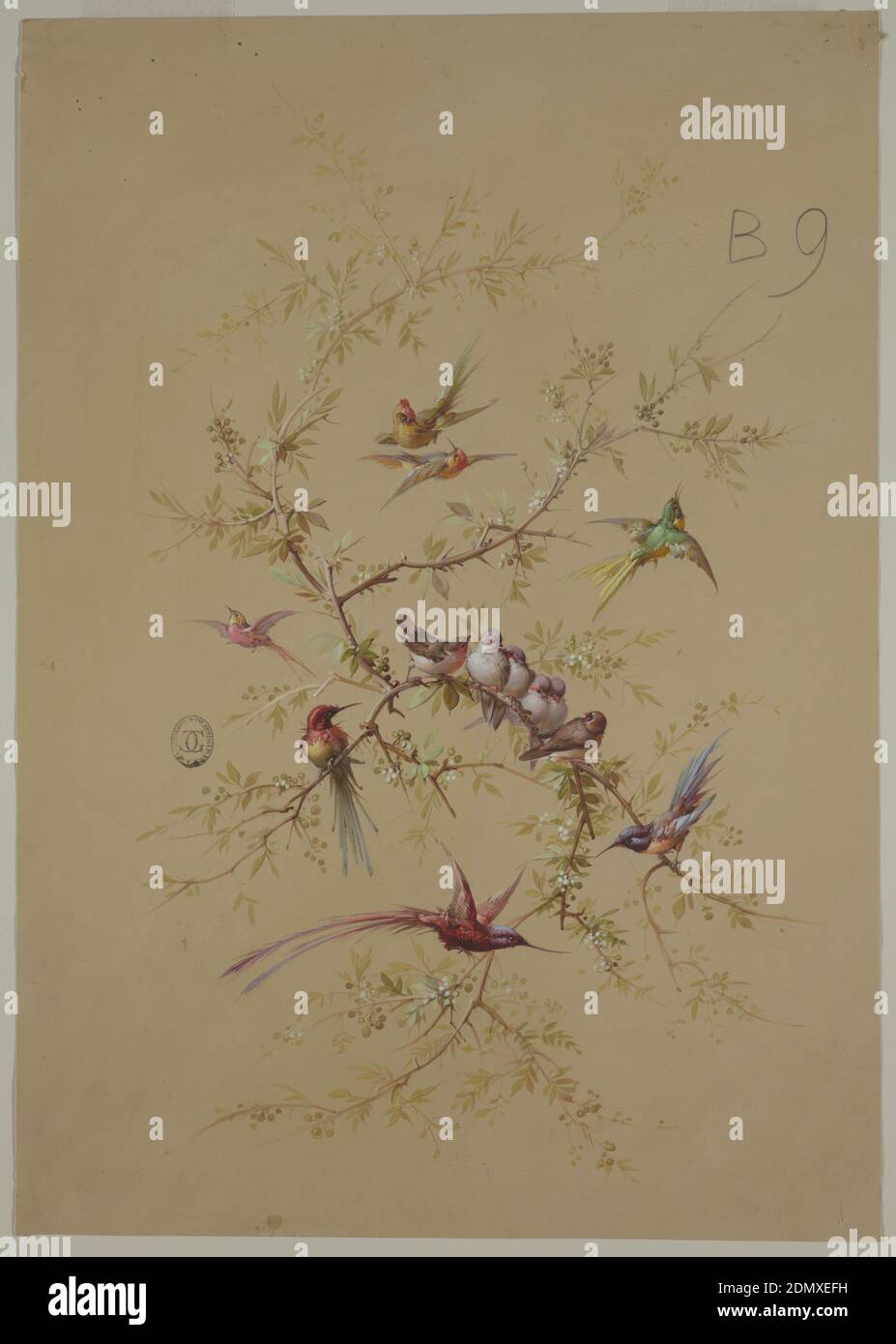 Design für Tapeten und Textilien: Blumen und Vögel, Pinsel und Gouache auf cremefarbenem Papier, Zweige mit Laub, Beeren und Vögel, die um sie herum sitzen und fliegen. Komposition in einer vertikalen ovalen Form organisiert., Frankreich, 19. Jahrhundert, Tapetenentwürfe, Zeichnung Stockfoto