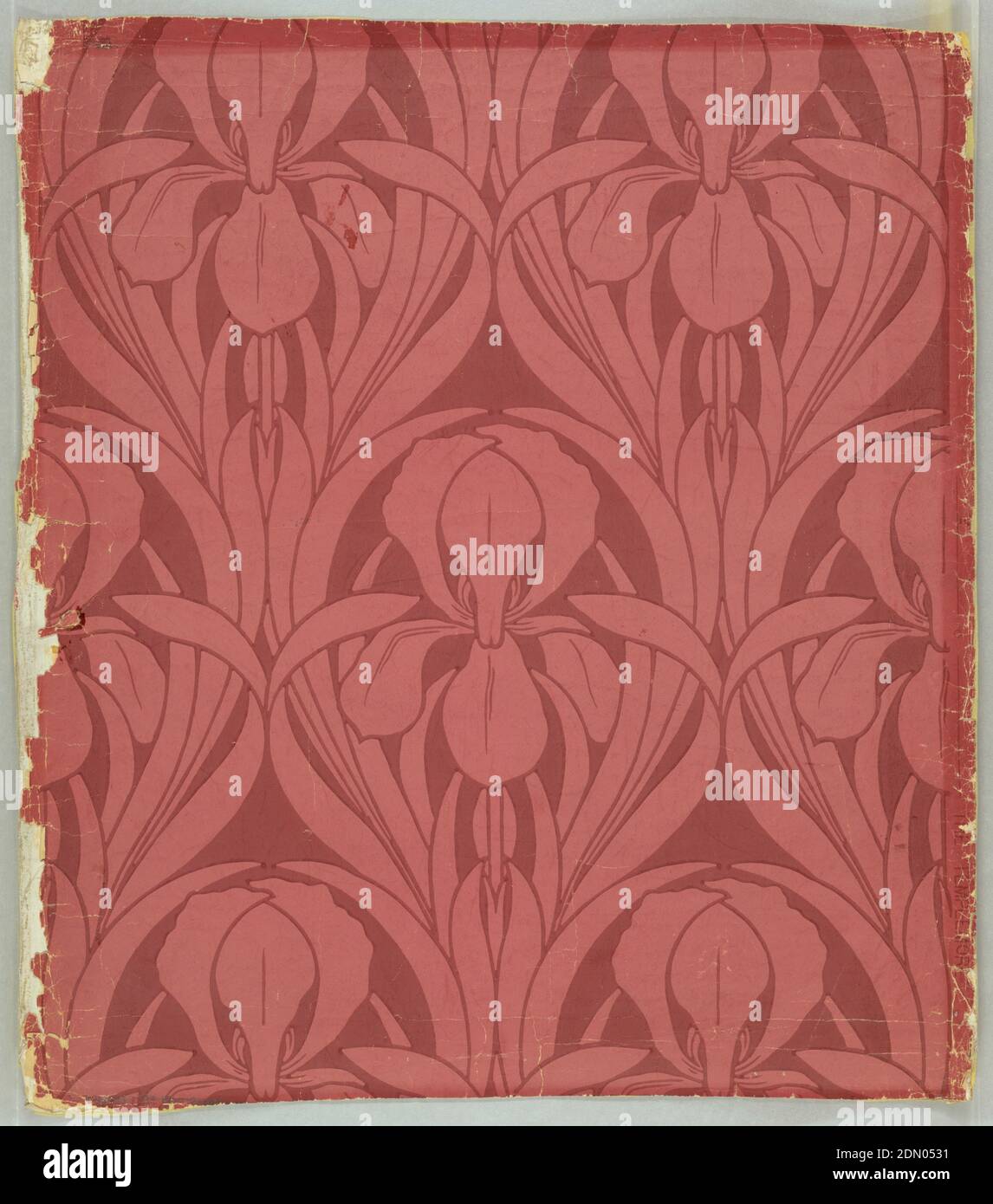 The Templemore, maschinenbedruckt auf Papier, übergroße stilisierte Iris und Blätter, Tropfenrepeat, gedruckt in Korallen, staubiger Rose und Burgund., England, 1875–99, Wallcoverings, Sidewall, Sidewall Stockfoto