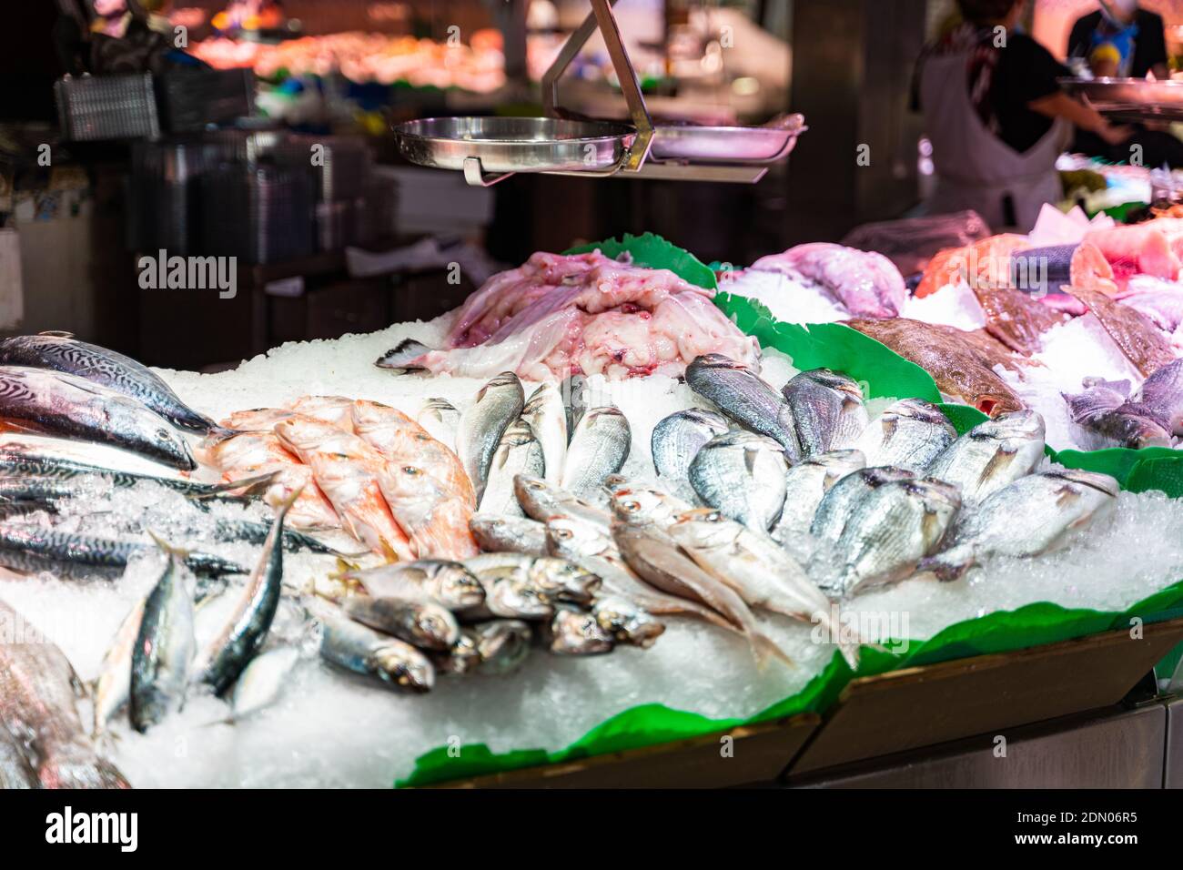 Verschiedene Arten von frischem Fisch auf Eis auf der Theke Fischmarkt in Barcelona Stockfoto