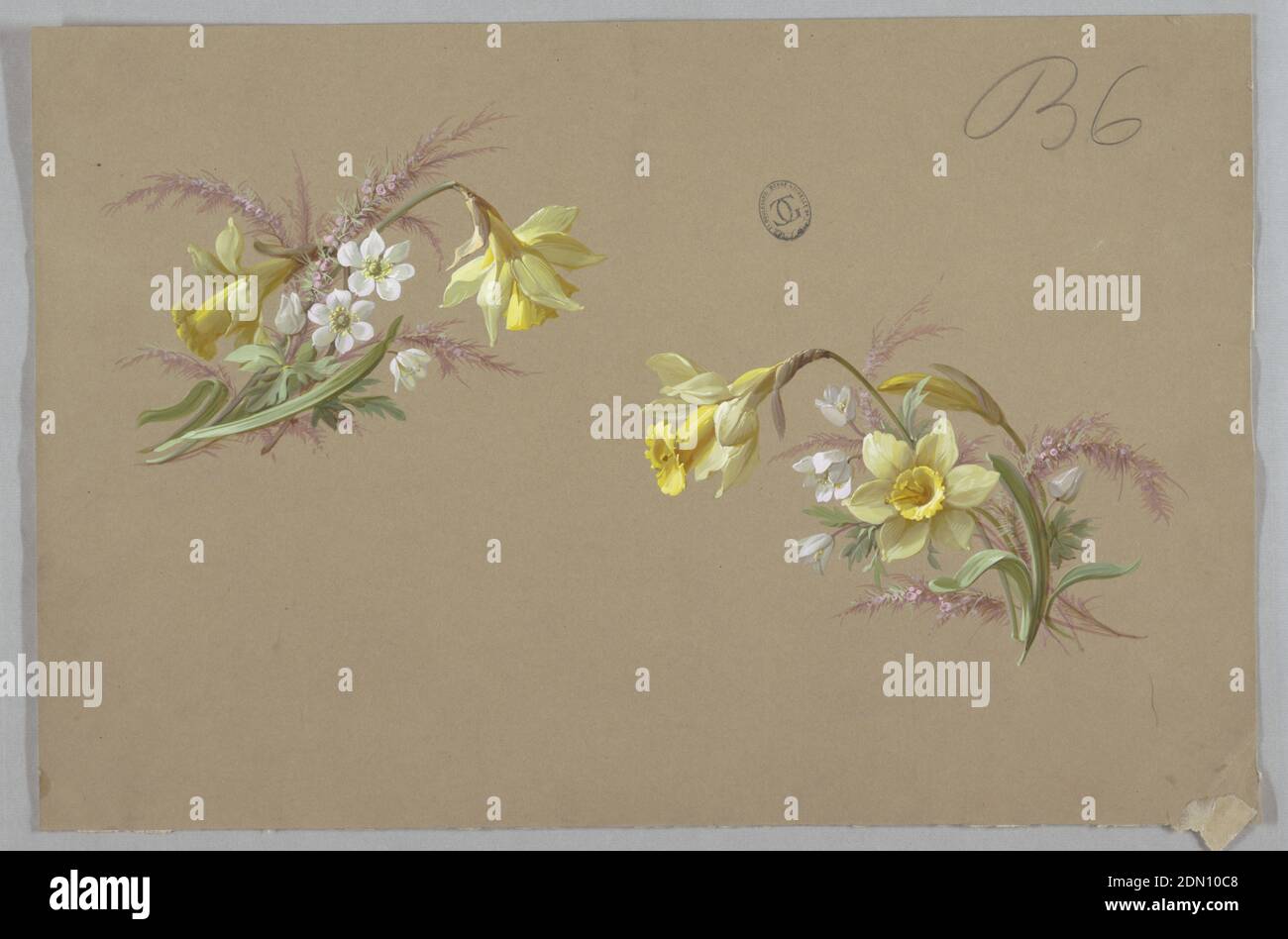 Design für Tapeten und Textilien: Blumen, Pinsel und Gouache auf braunem Papier, gefüttert, Narzissen und weiße Blumen mit Gräsern auf hellgrauem Boden., Frankreich, 19. Jahrhundert, Tapetenentwürfe, Zeichnung Stockfoto