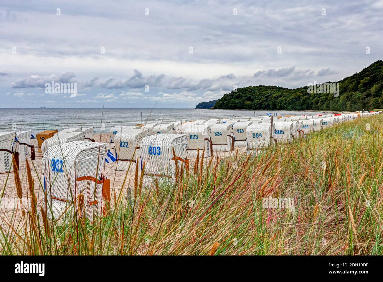 Beach Baskets (Strandkorb), Binz, Insel Rügen, Deutschland Stockfoto