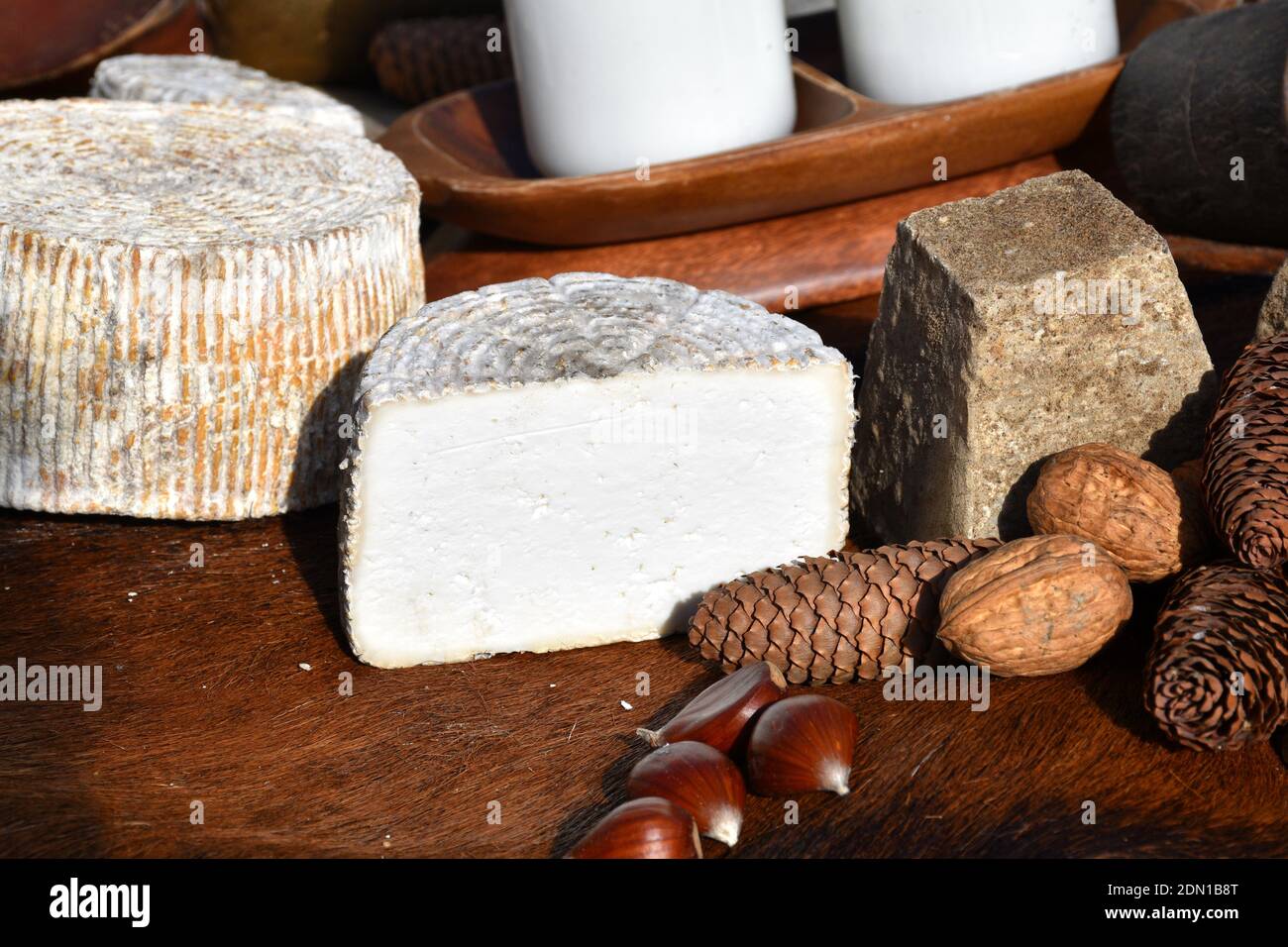 Handwerkliche Käsesorten verschiedener Art auf Ziegenleder und umgeben von Nüssen. Stockfoto