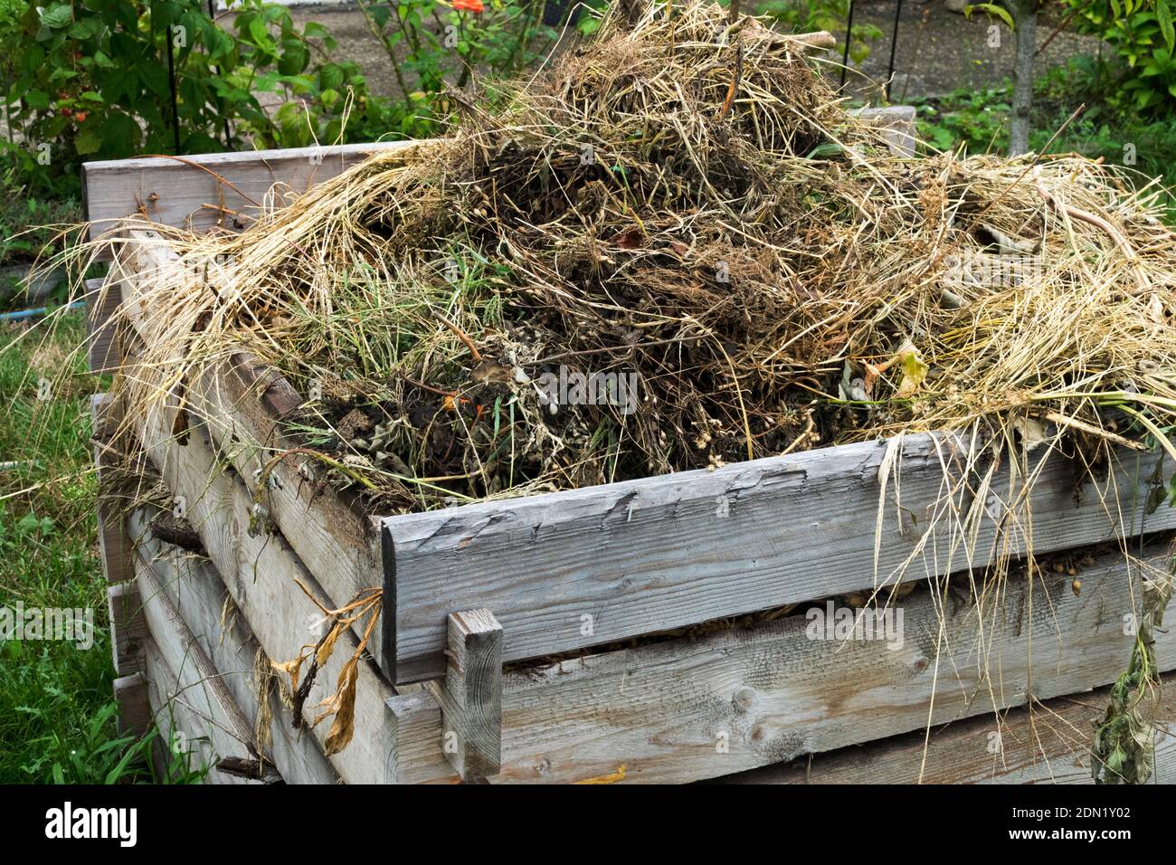 Alte trockene Grashalme und verschiedene Unkräuter kompostieren organische Abfälle, reinigen den Garten im Spätsommer Kompostierungsschreck Stockfoto