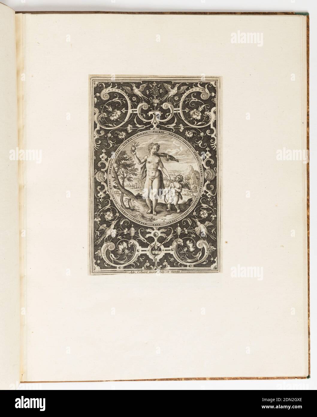 Venus, Platte aus einer Suite von 6 ornamentalen Motiven mit dem Urteil von Paris, Adriaen Collaert, Flämisch, ca. 1560 – 1618, Adriaen Collaert, Flämisch, ca. 1560 – 1618, Gravieren auf Papier, eine Anwärterin für den Pariser Apfel, Venus, die Gewinnerin, hält den Apfel in der einen Hand, während Amor, der gott der Begierde, mit der anderen führt. Die Figur ist in einem Medaillon auf einem dunklen Feld (sur Fond noir) mit komplizierten Grotesken verziert gesetzt., Antwerpen, Belgien, ca. 1690, Ornament, Druck Stockfoto