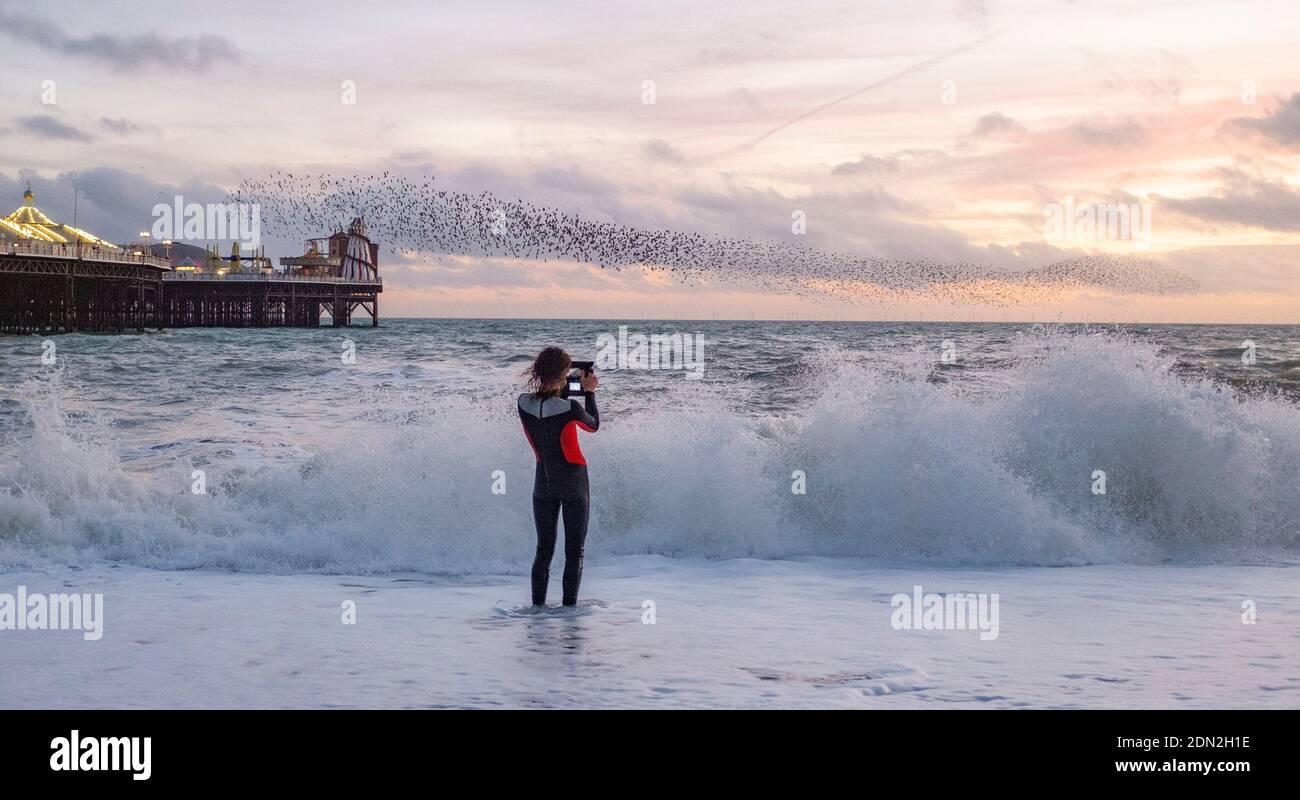 Brighton UK 17. Dezember 2020 - EIN Fotograf in einem Neoprenanzug fängt das Sternrauschen am Brighton Palace Pier am Ende eines hellen Tages an der Südküste ein. Die Stadt Brighton und Hove wurde in Coronavirus Tier zwei Beschränkungen in England nach einer Ankündigung heute von der Gesundheitsminister Matt Hancock gehalten : Credit Simon Dack / Alamy Live News Stockfoto