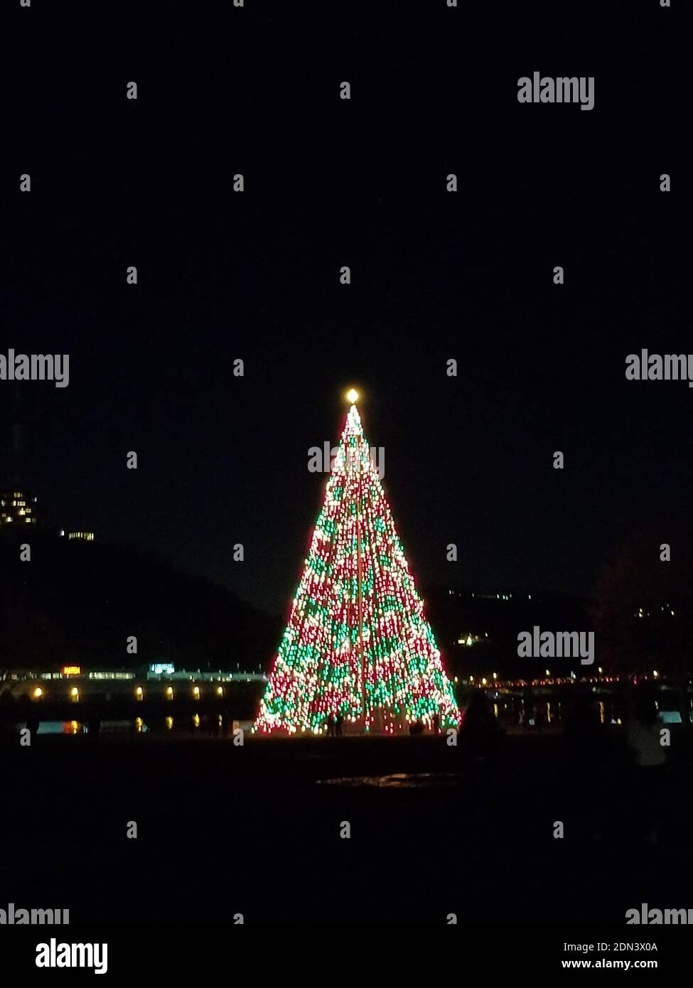 Beleuchtete Weihnachtsbaum in der Innenstadt bei Nacht Stockfoto