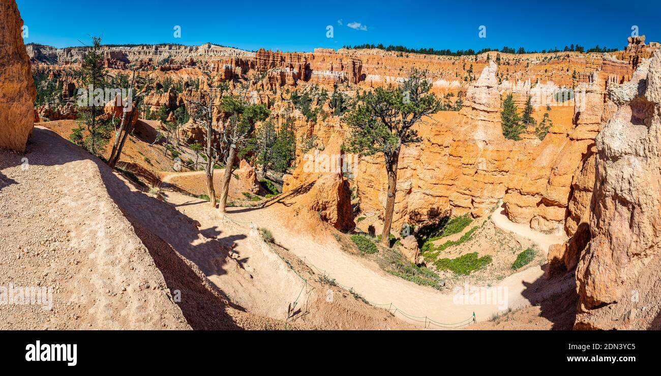 Hoodoos und erodierte Sandsteinformationen entlang der Wanderwege Queen's Garden und Navajo Loop im Bryce Canyon National Park in Utah. Stockfoto