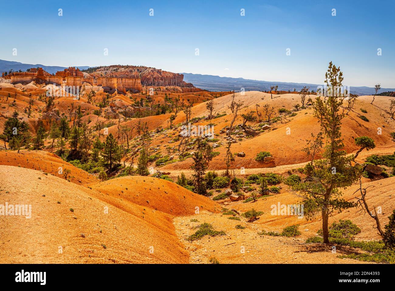 Hoodoos und erodierte Sandsteinformationen entlang der Wanderwege Queen's Garden und Navajo Loop im Bryce Canyon National Park in Utah. Stockfoto