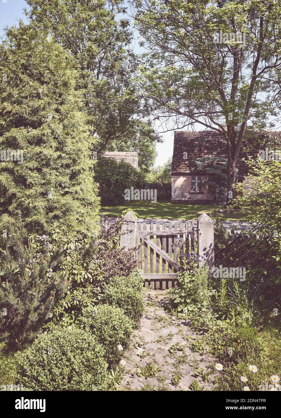 Retro getönte ländliche Aussicht mit einem alten Holzdickicht. Stockfoto