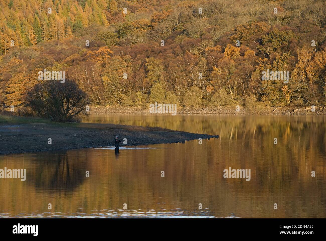 Single Fischer an einem herrlich bunten Herbsttag Angeln aus Das Wasser rande mit subtilen Reflexen in den stillen Gewässern Stockfoto