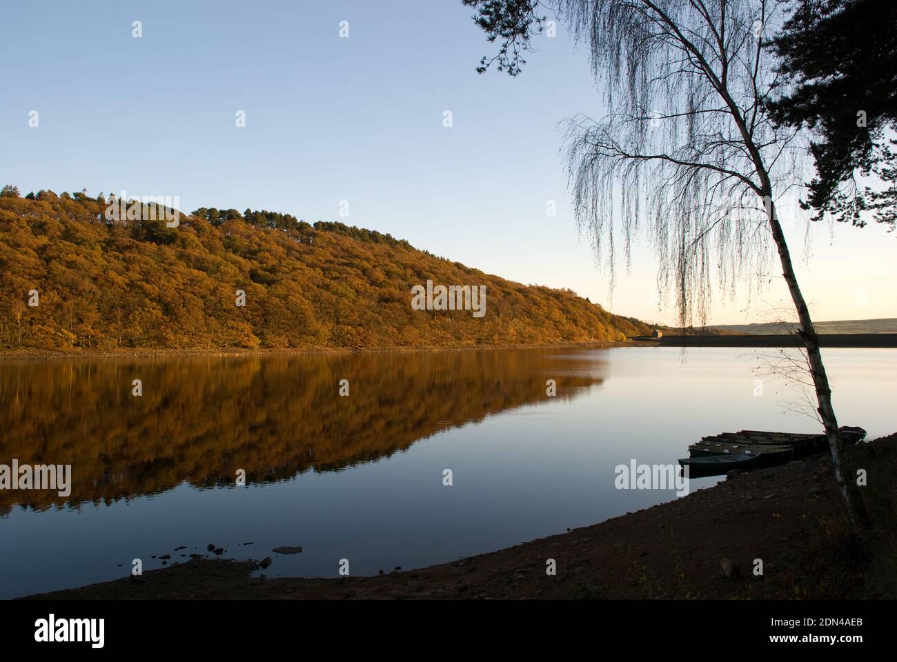 Die Herbstfarben spiegeln sich in den stillen Gewässern des Stausees wider Mit verankerten Ruderbooten auf einer Seite Stockfoto