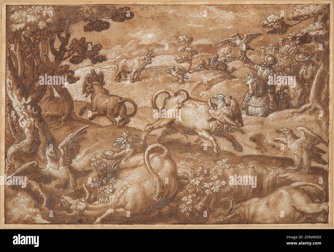 Men Hunting Bulls with Eagles, Jan van der Straet, genannt Stradanus, Flämisch, 1523–1605, Pen and Brown Ink, Pinsel and Brown Wash, white hightening on buff laid paper, in einer Landschaft von hügeligem Gelände, Männer nutzen Vögel, um wilde Bullen zu jagen. Bäume umrahmen die Komposition links und rechts, und die Jäger erscheinen zu Pferd im Hintergrund rechts. Zwei Bullen sind im Vordergrund gefallen, während andere durch die Bildmitte galoppieren. Die Vögel – traditionell als Falken identifiziert, obwohl möglicherweise Adler – zünden auf den Köpfen ihrer Beute an und blenden sie wahrscheinlich. Stockfoto