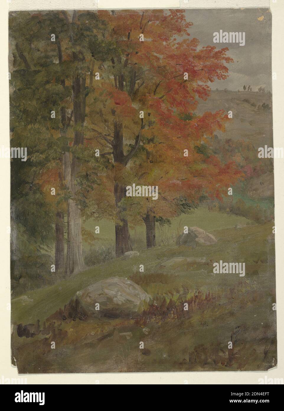 Woods in Autumn, Frederic Edwin Church, American, 1826–1900, Pinsel- und Ölfarbe auf dünnem cremefarbenem Karton, USA, 1865, Landschaften, Zeichnung Stockfoto
