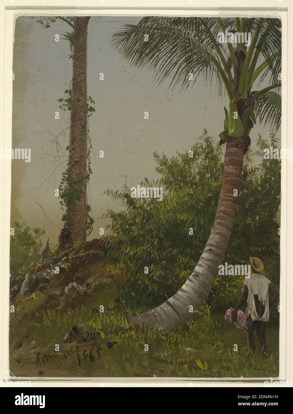 Trees in Jamaica, West Indies, Frederic Edwin Church, American, 1826–1900, Öl auf dünnem grünen Karton, Vertikale Ansicht eines gebogenen Baumstamms einer Palme rechts mit einer vertikalen Palme links in der Mitte. Unten rechts steht eine bunt gefärbte Figur., USA, 1865, Naturstudien, Zeichnung Stockfoto