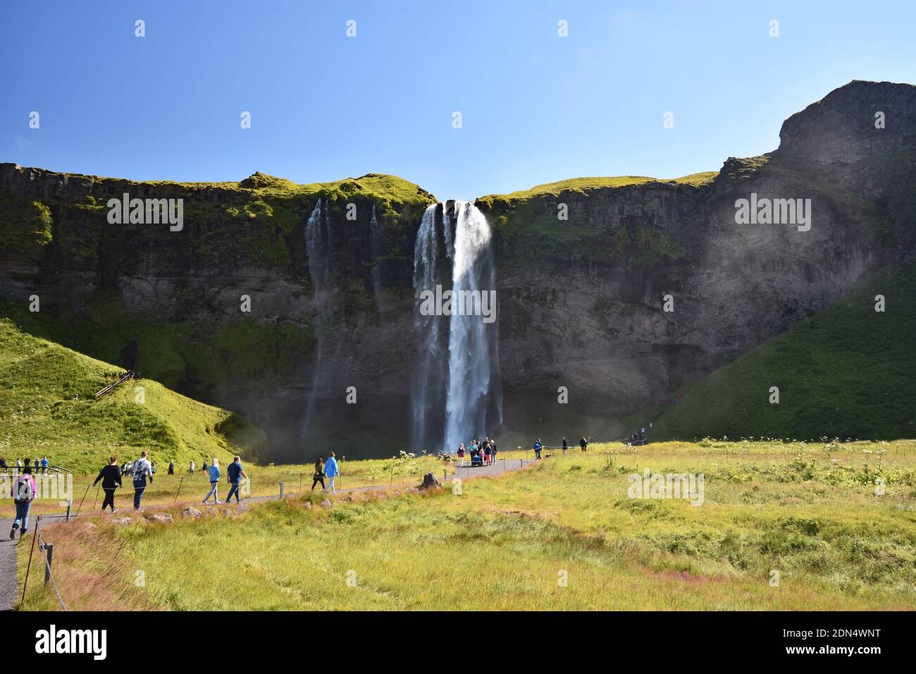 Besucher wandern auf einem Pfad durch Felder, die zu einer Klippe und dem Wasserfall Seljalandsfoss in Südisland führen, gleich neben der Ringstraße. Stockfoto