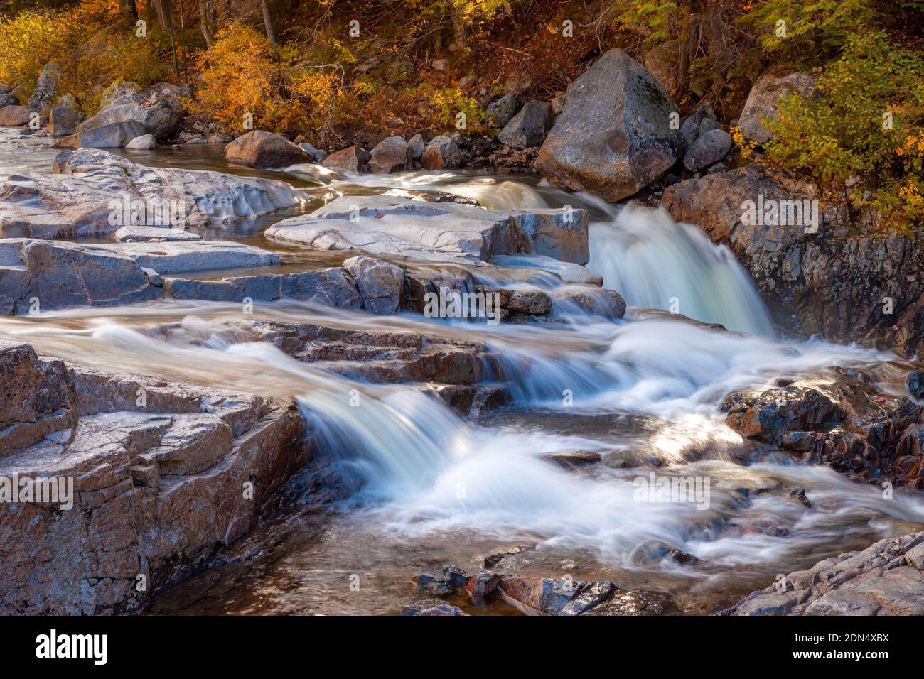 Herbstlaub am Swift River entlang des Kancamagus Highway in der Nähe von Conway, New Hampshire, USA Stockfoto