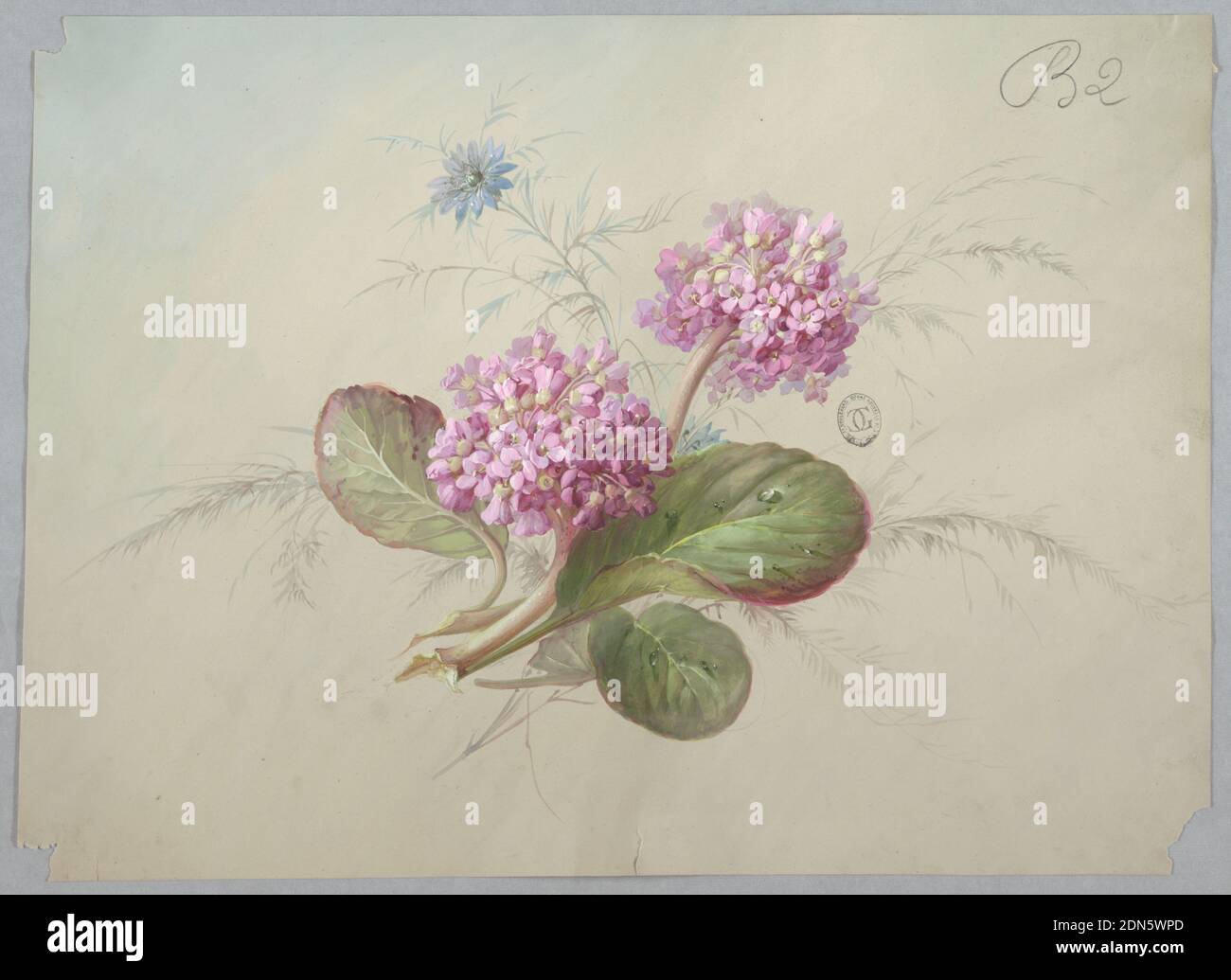 Design für Tapete und Textil: Blumen, Pinsel und Gouache auf cremefarbenem Papier, zwei Cluster lila Blüten mit drei Blättern und einer blauen Blume, die aus der Mitte auf hellgrauem Boden auftaucht., Frankreich, 19. Jahrhundert, Tapetenentwürfe, Zeichnung Stockfoto