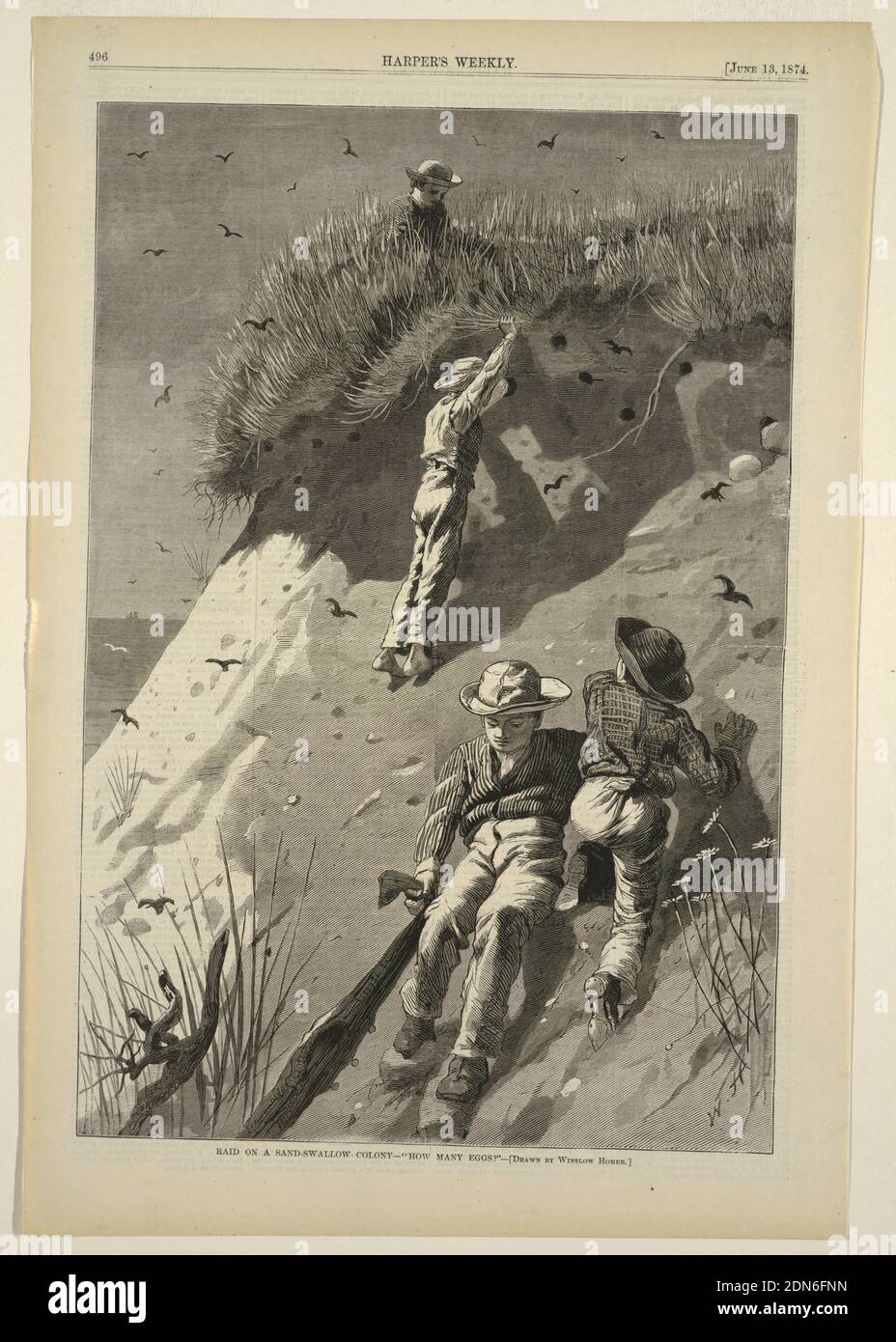 RAID on a Sand-Swallow Colony – 'How many Eggs?', Winslow Homer, amerikanisch, 1836–1910, Edward Lagarde, amerikanisch, 19. Jahrhundert, Harper's Weekly, Holzstich in schwarzer Tinte auf Papier, vier Jungen stehlen Eier aus Sandschwalben Nestern. Oben in der Mitte sitzt ein Junge auf dem Bluff, der Eier klaut, während drei Jungen die Düne darunter erklimmen. Ein Junge zieht ein altes Hemd an, mit dem die Jungen Eier sammeln., USA, 13. Juni 1874, Zahlen, Print Stockfoto