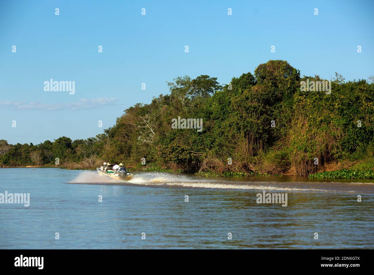 Touristen auf der Suche nach Jaguaren auf dem Fluss Três Irmãos, Pantanal von Mato Grosso, Brasilien Stockfoto