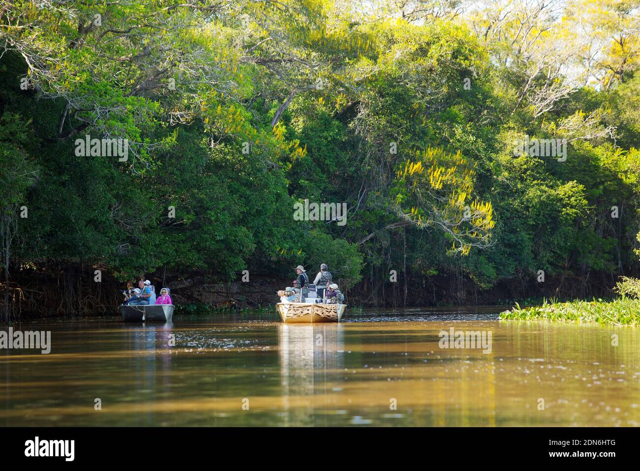 Touristen auf der Suche nach Jaguaren auf einem Corixo in der Nähe des Flusses Três Irmãos, Pantanal von Mato Grosso, Brasilien Stockfoto