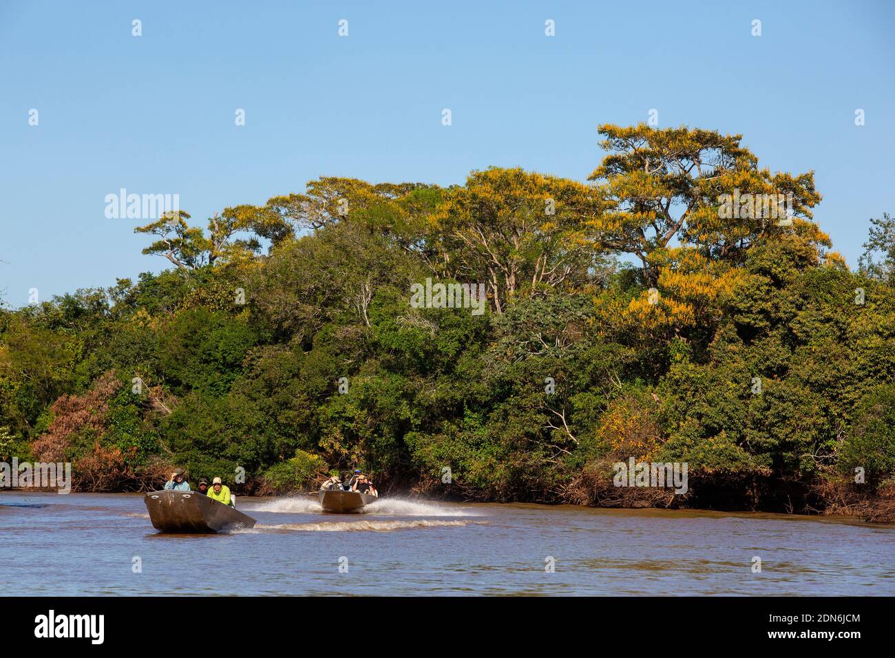 Touristen auf der Suche nach Jaguaren auf dem Fluss Três Irmãos, Pantanal von Mato Grosso, Brasilien Stockfoto