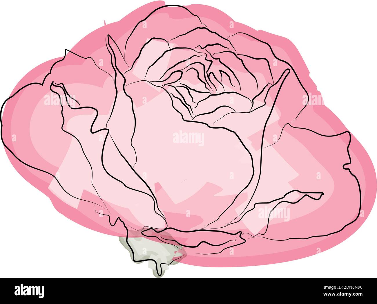 Rosa rosa Aquarell, isoliert auf weiß. Vektorformat EPS 10 Stock Vektor