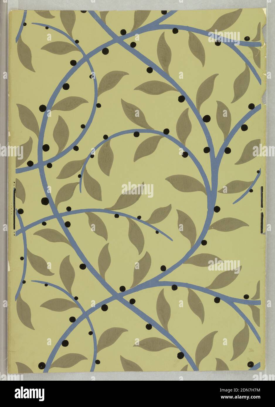 Sidewall, René Crevel, französisch, 1900–1935, Block gedruckt auf Papier, gedruckt für Nancy McClelland aus New York City. Eine stilisierte durchgehende Rebe in Blau mit flachen grau-grünen Blättern und schwarzen Beeren. Gleiche Ausführung wie 1945-3-8. Gedruckt in grün-grau, blau und schwarz auf salbeigrünem Feld., Frankreich, 1920, Wallcoverings, Sidewall Stockfoto