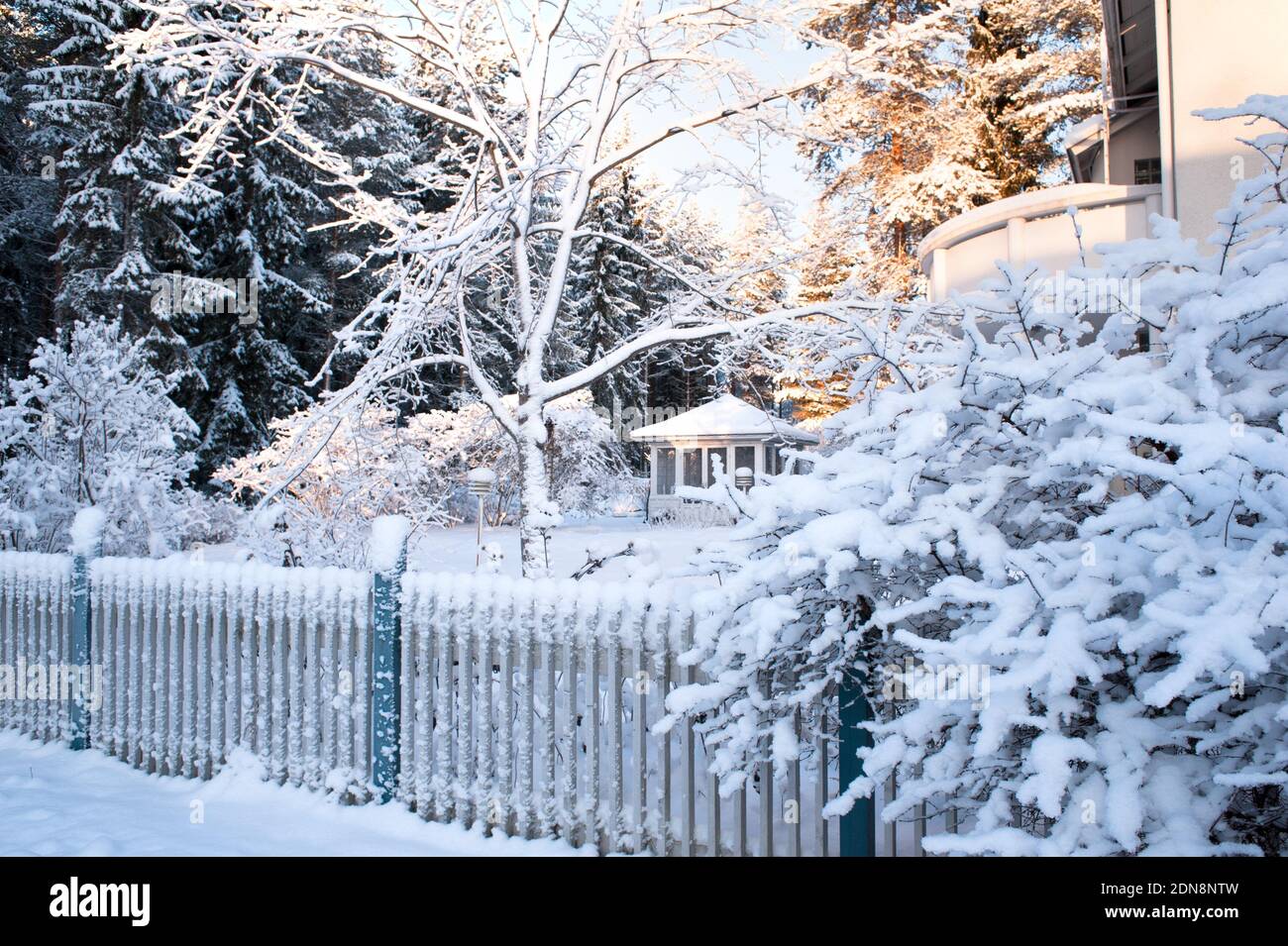 Verschneite Landschaft im Winter Stockfoto