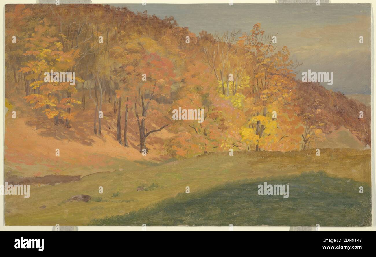 Autumn Woods, Frederic Edwin Church, American, 1826–1900, Pinsel- und Ölfarbe, Graphitspuren auf Karton, hinter einem niedrigen grasbewachsenen Hang im Vordergrund erhebt sich links ein Hügel mit Bäumen in Herbstfarben. Ein blau-grauer Himmel in der richtigen Entfernung., USA, ca. 1870, Landschaften, Zeichnung Stockfoto