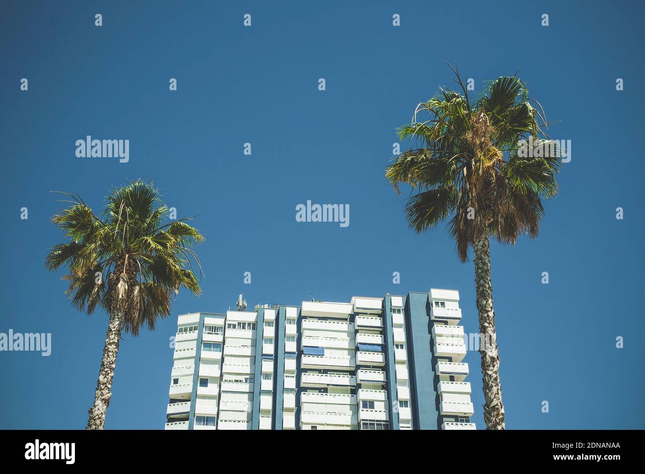 Apartmentgebäude und zwei Palmen gegen Blue Sky Stockfoto