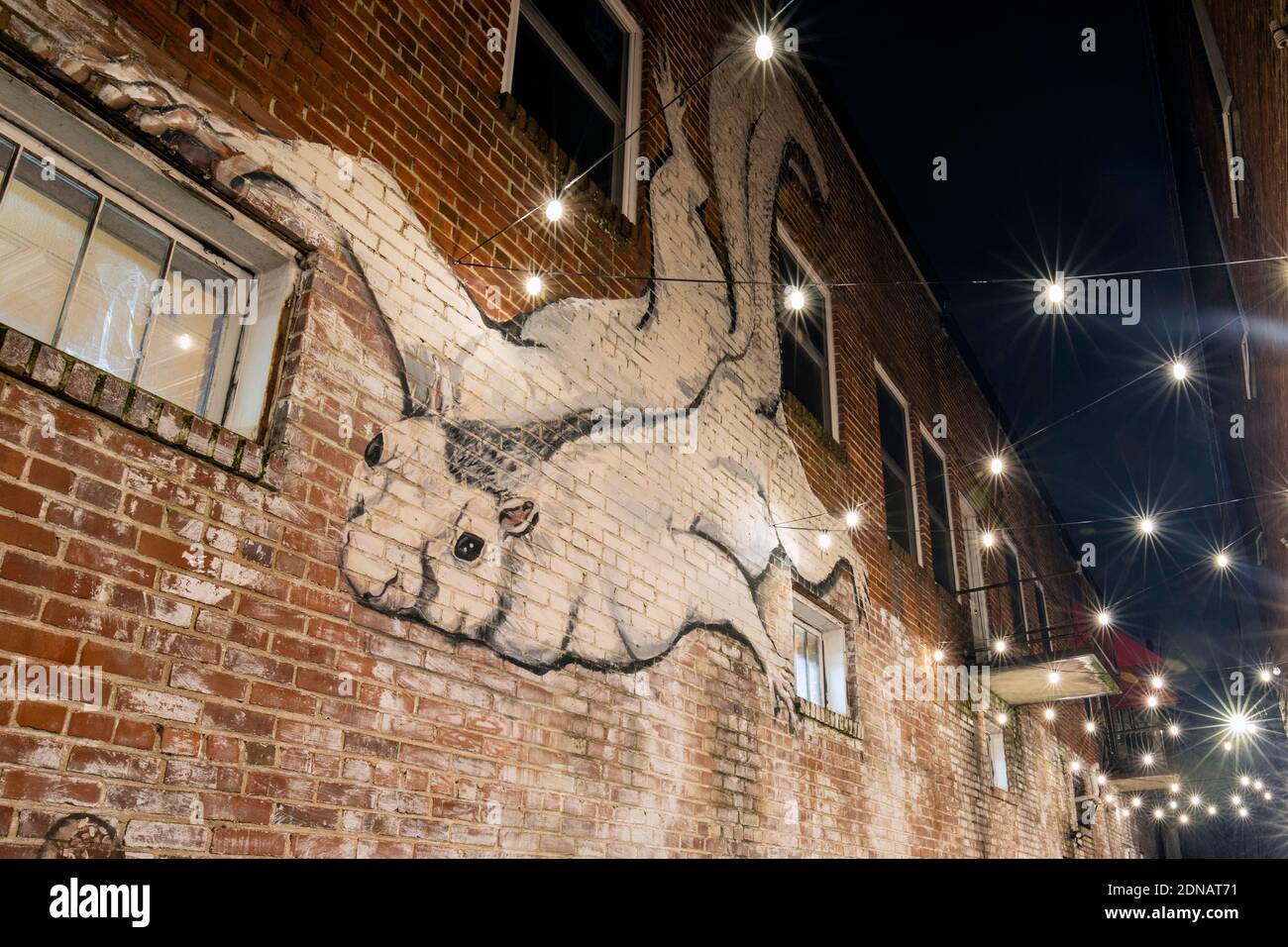 White Squirrel Mural von Billy Smith fotografiert bei Nacht in der Innenstadt von Brevard, North Carolina, USA Stockfoto