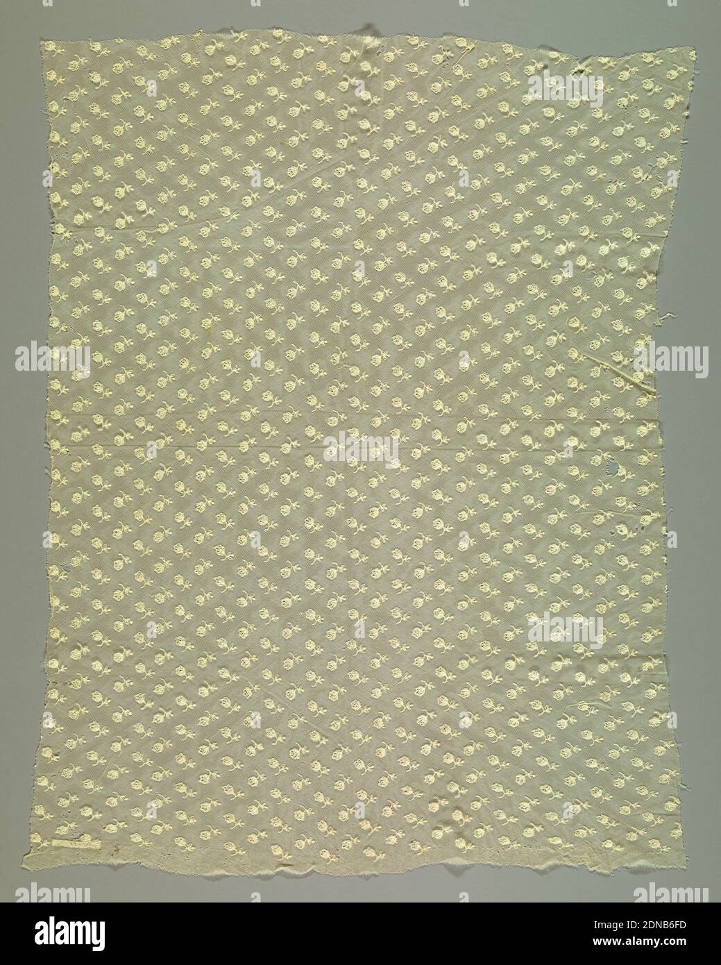 Länge, Mittel: Leinentechnik: Stickerei auf Netz, Blumen- und Blattmuster., Frankreich, 19. Jahrhundert, Spitze, Länge Stockfoto