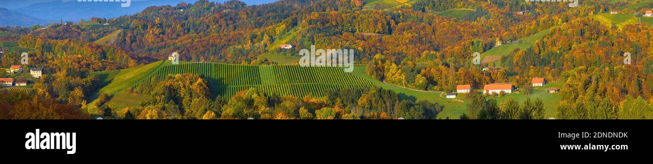 Herbstlandschaft mit südsteirischen Weinbergen, bekannt als österreichische Toskana, eine reizvolle Region an der Grenze zwischen Österreich und Slowenien mit rollendem hil Stockfoto