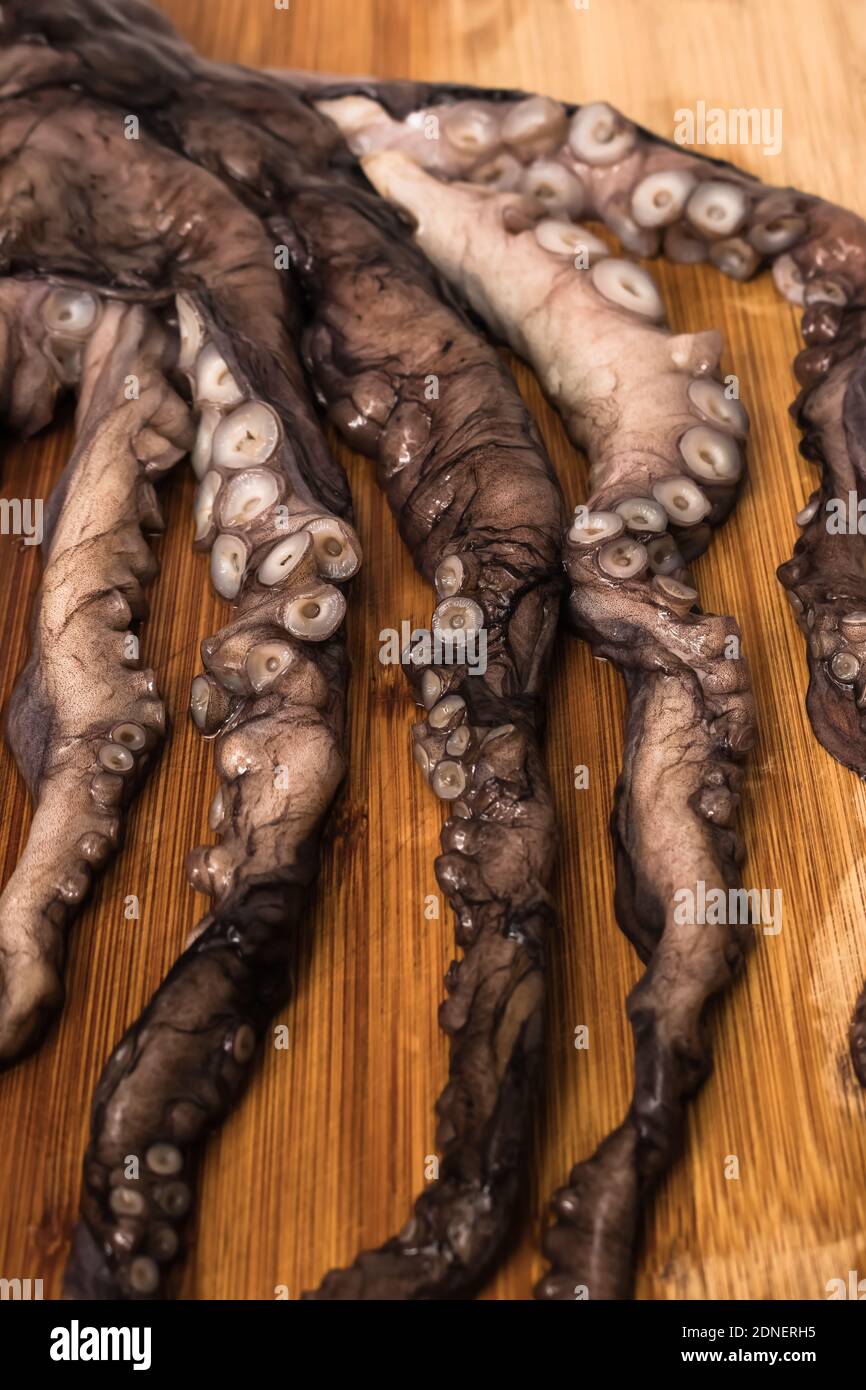 Detail der Tentakeln eines kleinen rohen Kraken, ausgestreckt auf einem Holzbrett. Stockfoto