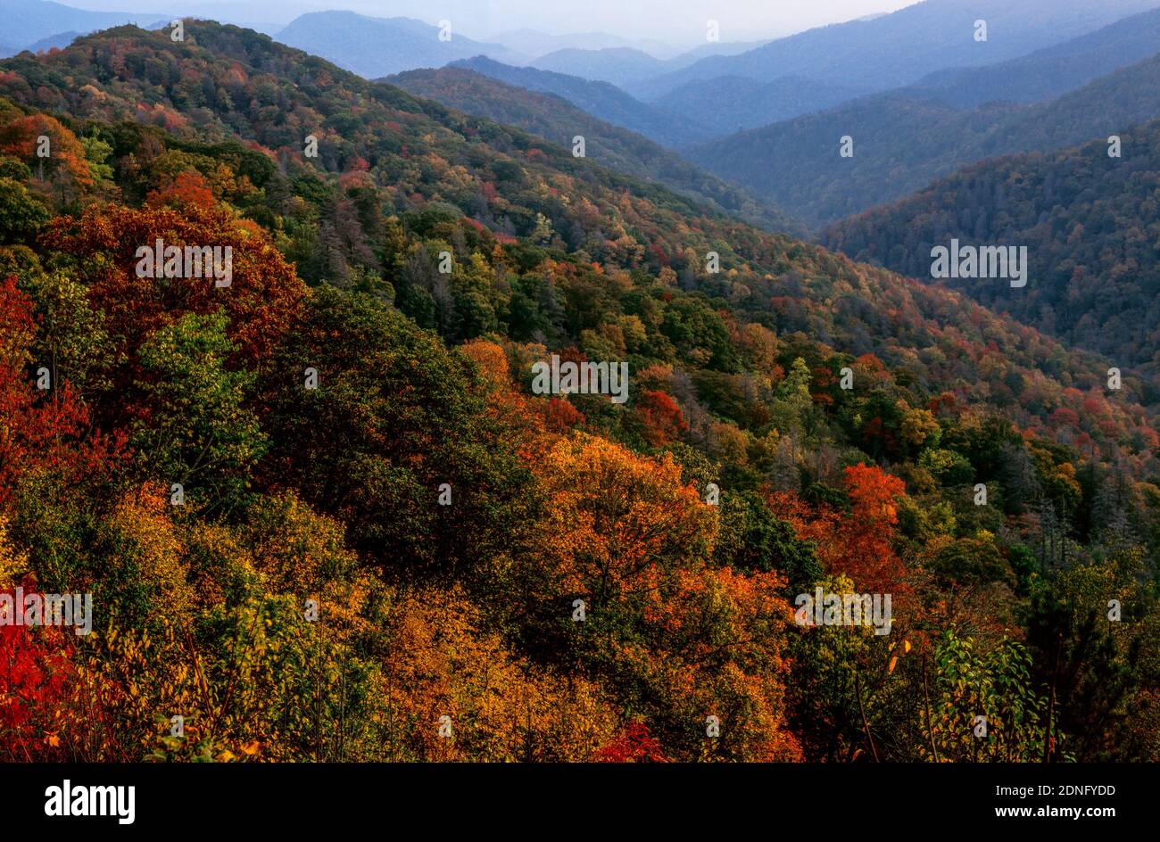 Herbst über Deep Creek, Great Smoky Mountains National Park, North Carolina Stockfoto