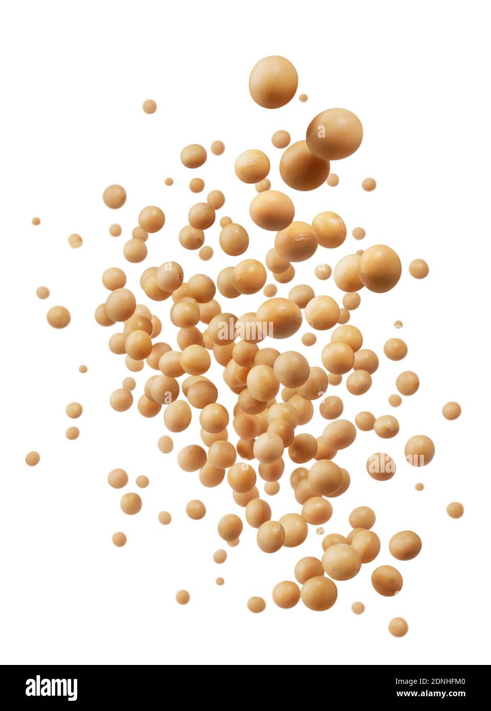 Sojabohnen spritzen isoliert auf weißem Hintergrund Stockfoto