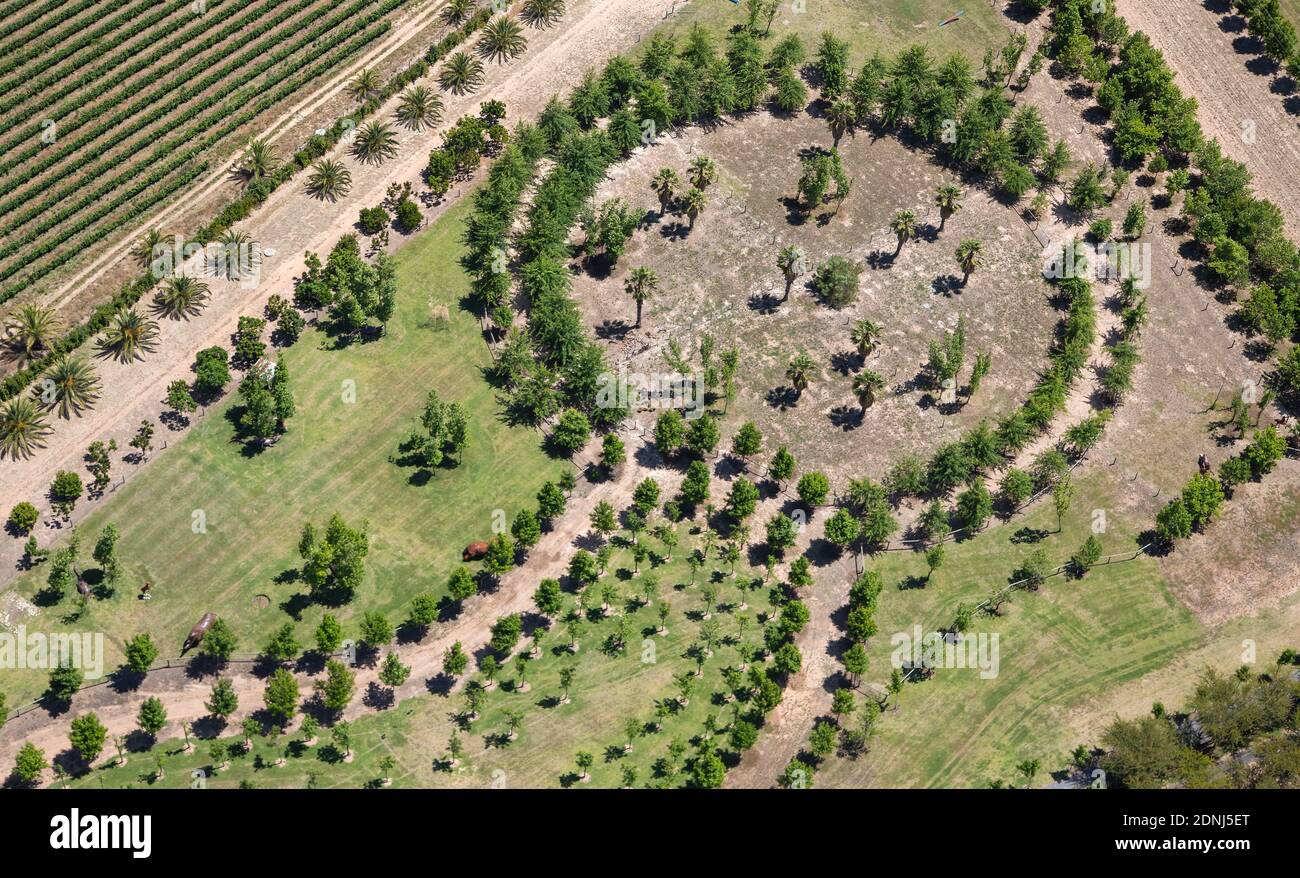 Kapstadt, Westkap / Südafrika - 11/26/2020: Luftaufnahme eines Kindergartens Stockfoto