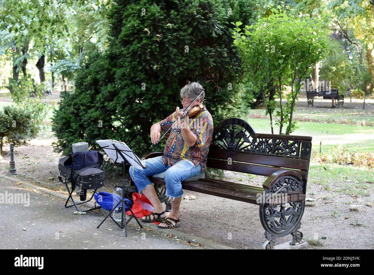 Alter Mann sitzt auf einer Bank im Park und spielt Geige. Stockfoto