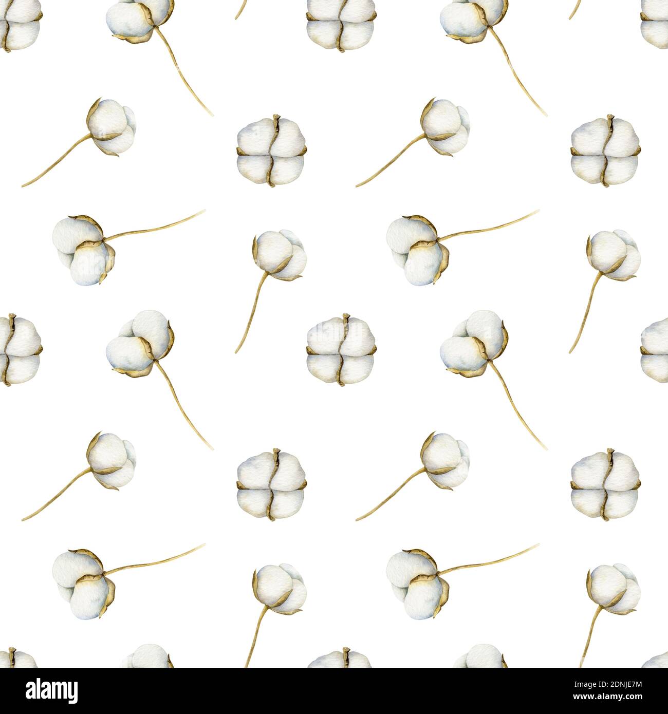 Aquarell Nahtloses Muster mit Baumwolle auf dem hellen Hintergrund. Botanische Aquarell-Illustration. Stockfoto