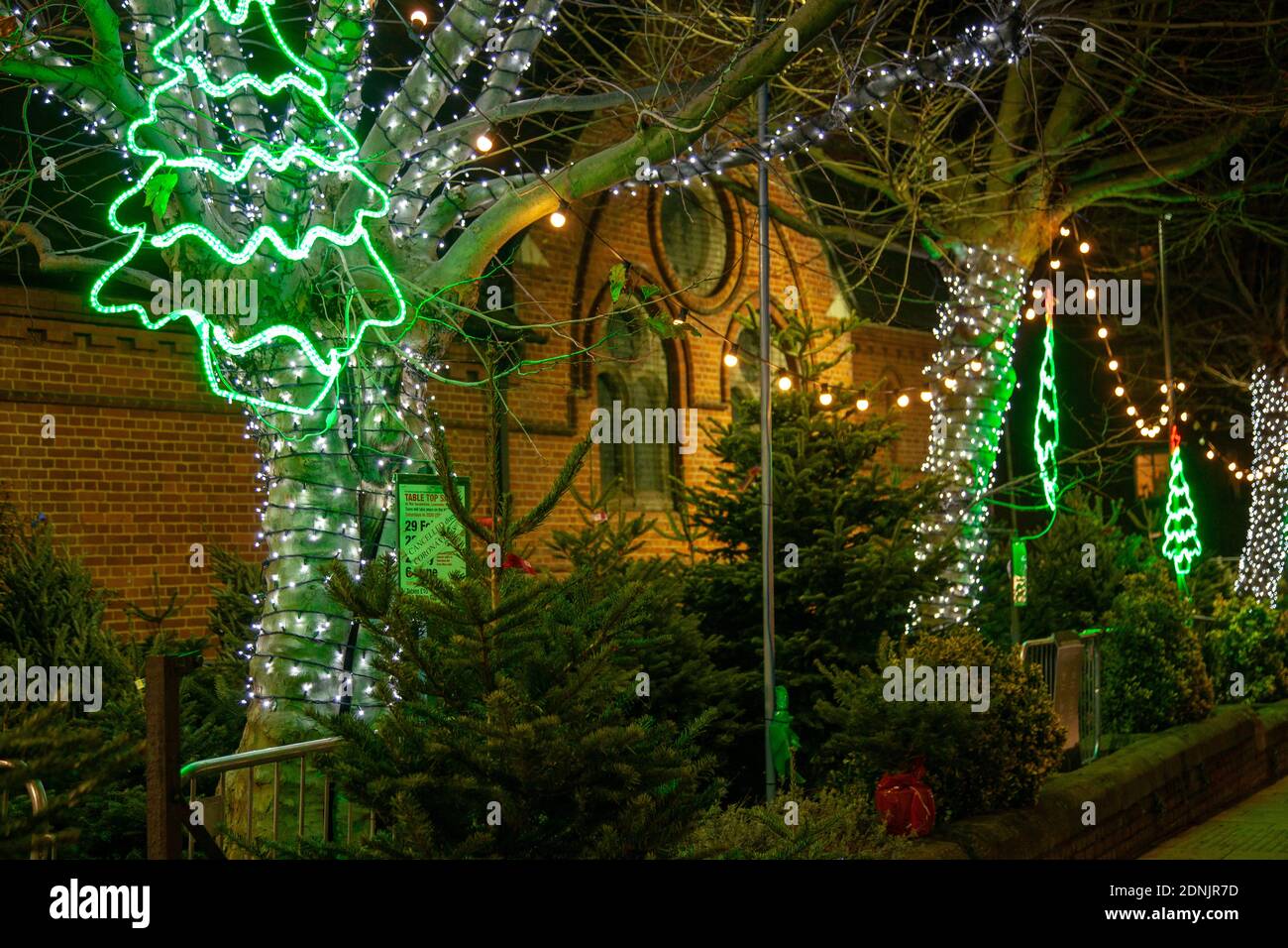 Weihnachtsbäume zum Verkauf bei der Himmelfahrt des Herrn auf Lavender Hill in Battersea, London Großbritannien Stockfoto