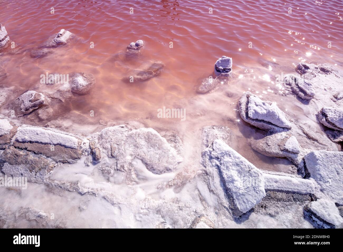 Salty Pink Seeufer. Steine mit Salz bedeckt. Natur Hintergrund Stockfoto