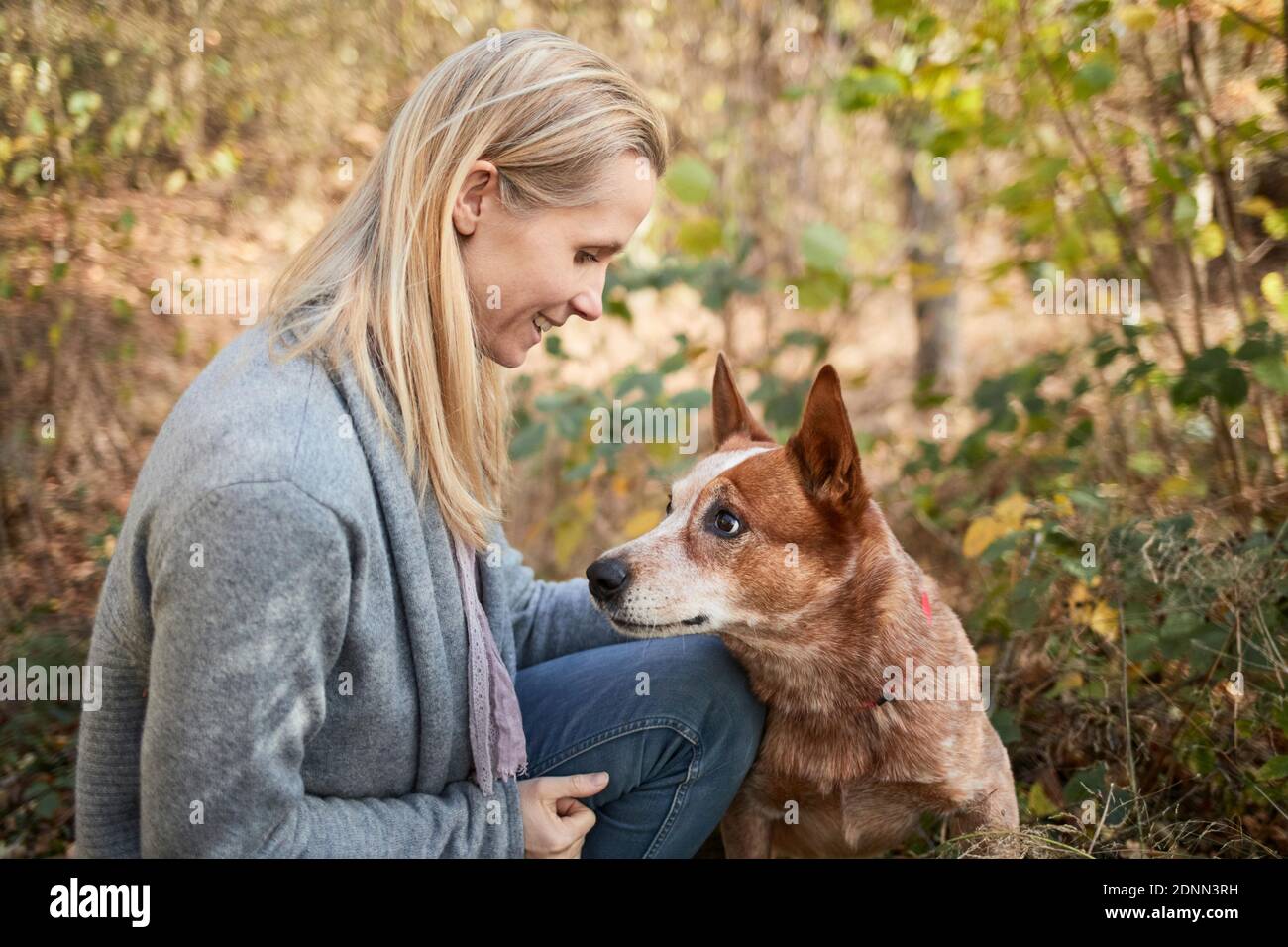 Frau und australischer Rinderhund in einem Wald. Deutschland Stockfoto