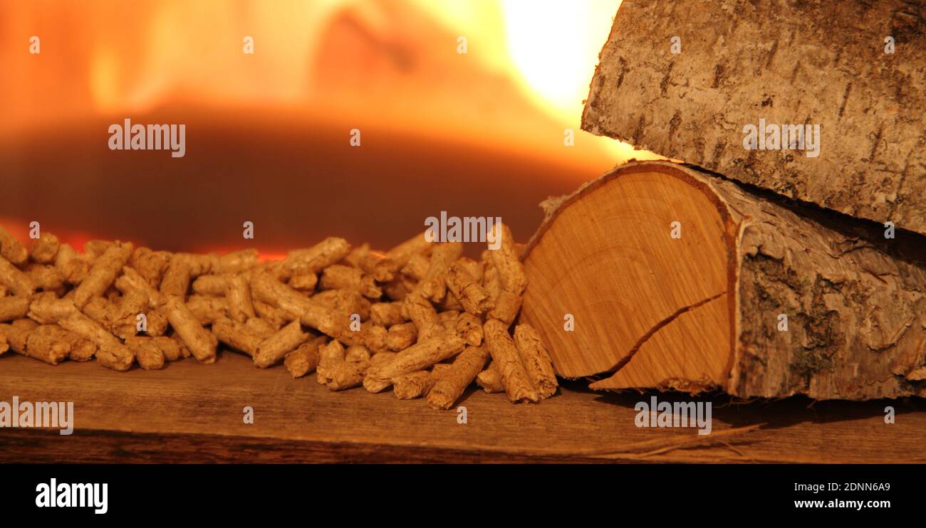 Flamm Birke Stockfotos und -bilder Kaufen - Alamy