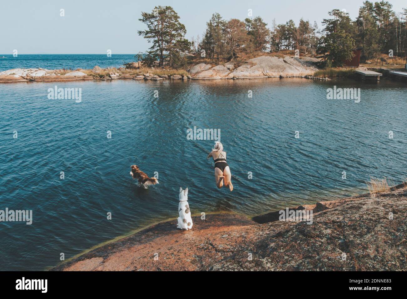 Frau mit Hunden auf See Stockfoto